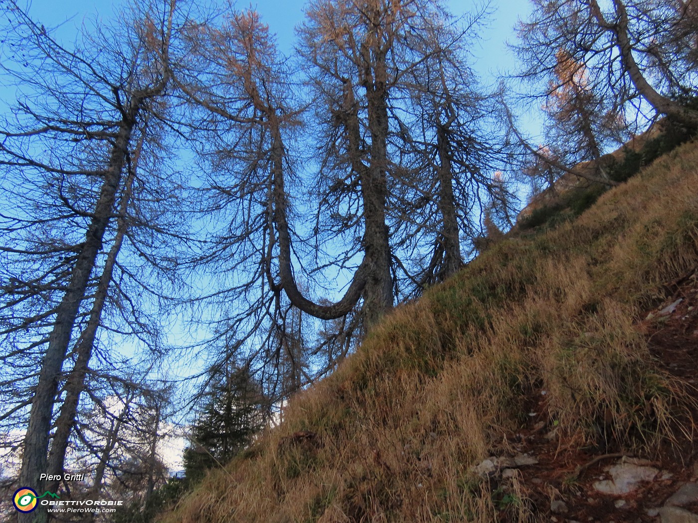 55 Ripida, scoscesa la salita alla cima del Pizzo Badile.JPG